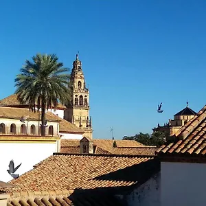La Mirada De La Judería Córdoba